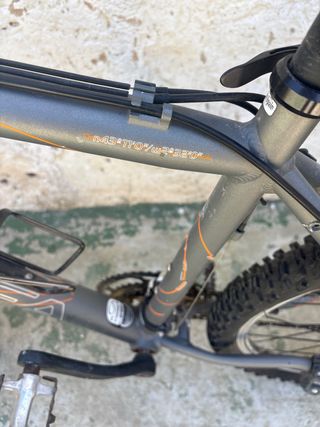 Bicicleta Orbea Gris