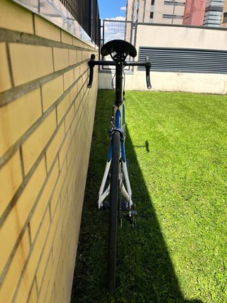 BH Speedroom Carbono