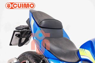 SUZUKI GSX 250 R