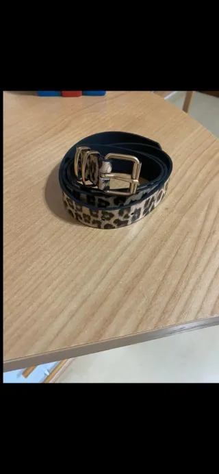 Cintura maculata nuova