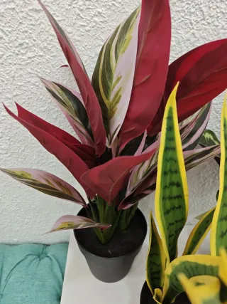 Plantas artificiales decorativas