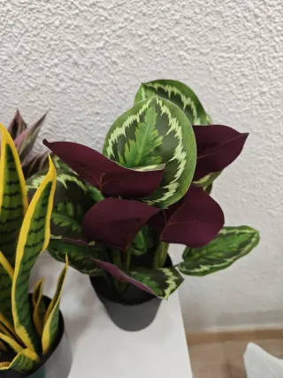 Plantas artificiales decorativas