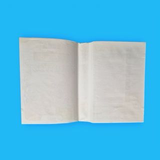 Gauntlet / Master System