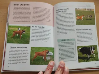 ¿Qué piensa mi perro?