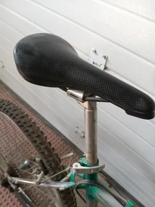 Bicicleta de montaña verde