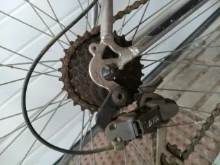 Bicicleta de montaña verde