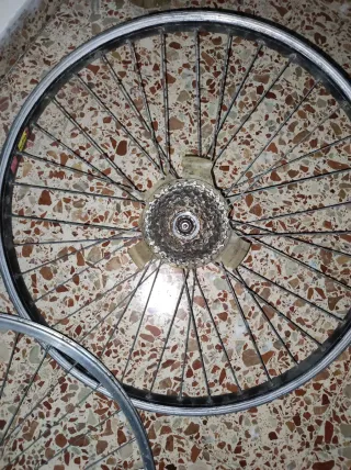 Ruedas de Bici (2 unidades)