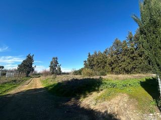 Terreno en venta en Palacios y Villafranca (Los)