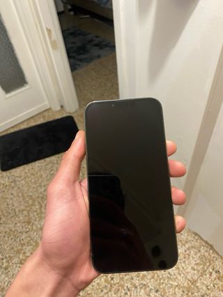 iPhone 13 Pro Max Grigio Siderale
