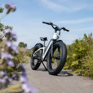 Bicicleta Eléctrica Rad Power Bike Blanca