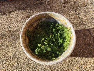 Maceteros de piedra beige y gris