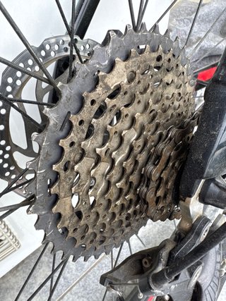 Orbea Alma Talla L H30