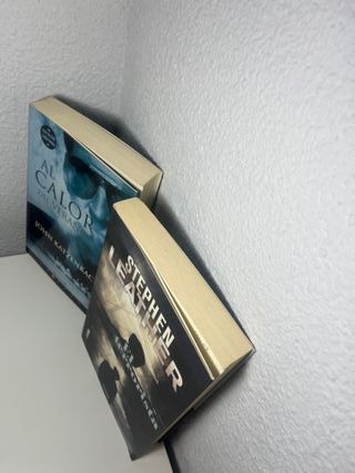 Lote thriller y suspense 2 libros