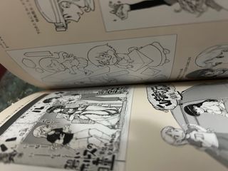 Ruri rocks source material book