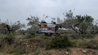 Servicios agrícolas