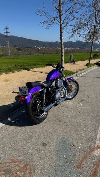 Harley Davidson Sportster 883 2001