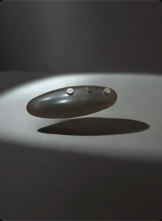 Cámara Horums 5G + Pinganillo + Router Netgear