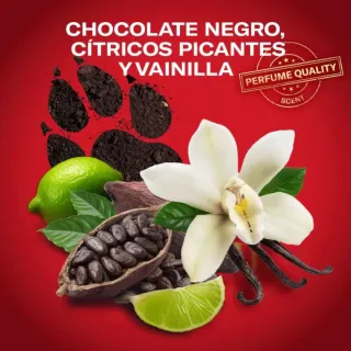 2 uds Desodorante Old Spice