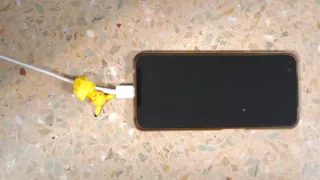 Protector Cable Pikachu