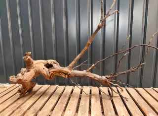 Raíz/tronco XL Decoración acuario/terrario