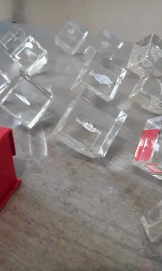 Set decorazioni cristallo 3D