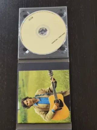 Lotto 2 CD Steve Earle: Jerusalem & Townes