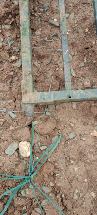 Puerta de entrada para finca