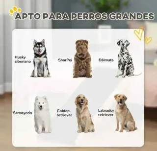 Rampa Plegable para mascotas de Madera