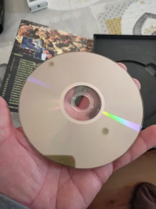 DVD El Señor de los Anillos Animada