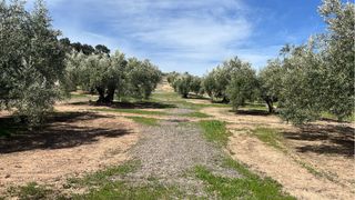 Parcela con agua propia .4165m. Casillas de Martos