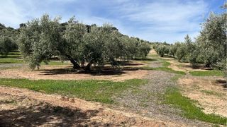 Parcela con agua propia .4165m. Casillas de Martos