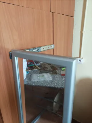 Espejo Armario Extraíble 30x100cm