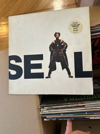 10 Vinilos LP artistas varios