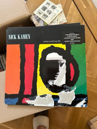 Lote 10 Vinilos LP varios artistas.