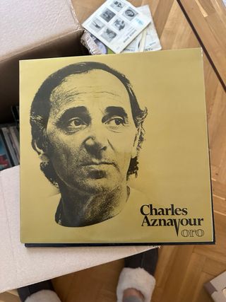 Lote 10 Vinilos LP varios artistas.