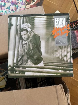 Lote 10 Vinilos LP varios artistas.