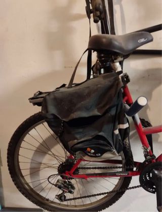 Bicicletas Montaña TopBike 50 talla XS