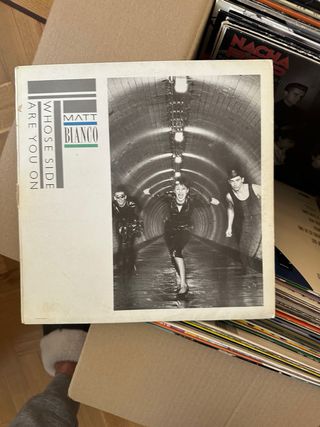 10 LP vinilos variados  The Stone Roses...