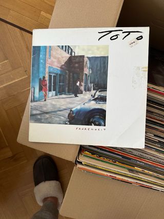 10 LP vinilos variados  The Stone Roses...