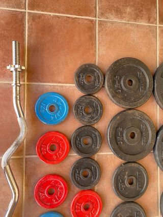 Discos gimnasio, barra recta y barra Z