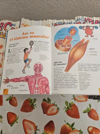 Erase una vez el cuerpo humano