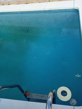 Robot Limpiafondos EVERCROSS Y10 Piscina