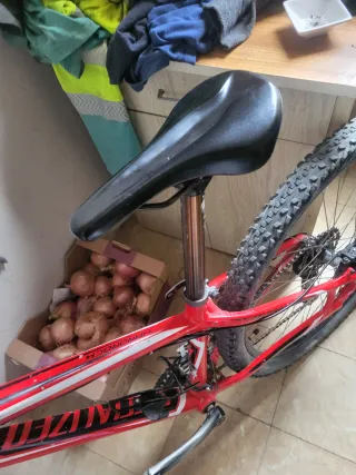 Bicicleta de Montaña Roja