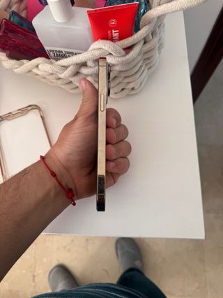 iPhone 14 Pro Max Dorado/Plateado