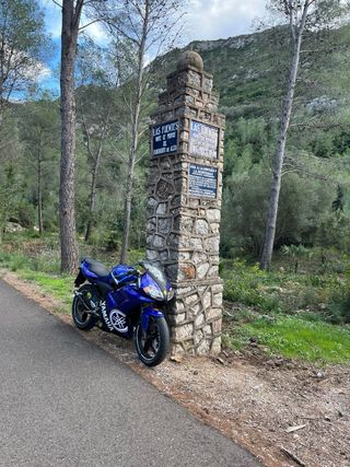 Yamaha TZR 50