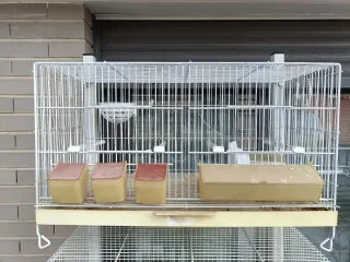 Jaula para pájaros beige y blanca