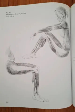 Anatomia Humana Para Artistas**