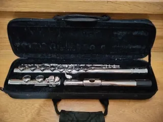 Flauta travesera plateada con funda