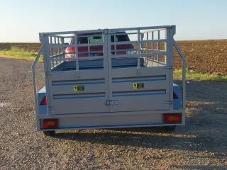 Remolque 250x150 Doble Eje Freno