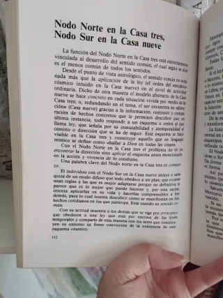 Los nodos de la luna (astrologia), Puiggros